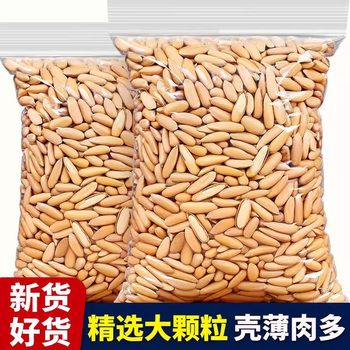 Brazilian Pine Nuts New Arrival Hand-Peeled Large Pine Nuts Large Pine Nut Nut Snacks Roasted Seeds and Nuts Casual Snacks Large Portion