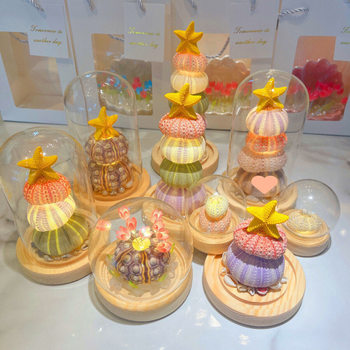 New Year and Spring Festival Ornaments Shell DIY Sea Urchin Shell Luminous Night Light Material Package Birthday Gift for Girlfriend