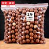 Bulk Wholesale Macadamia Nuts with Creamy Flavor, Large Pieces, Dried Fruit Snacks 250g 500g Factory