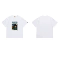 White 1304