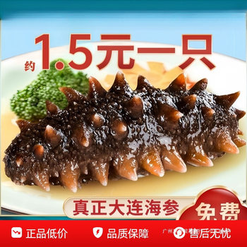 Wild Sea Cucumber Ready-To-Eat Dalian Sea Cucumber 500g Fresh Liaocheng Sea Cucumber Single Gift Box Instant Special Price