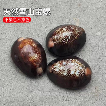 2.5-3.5cm natural small conch shell wholesale snow mountain treasure snail decoration creative handmade diy decoration table
