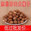 New Northeast Net Weight Large Hazelnuts with Thin Shells, Original Roasted Nuts Specialty Bagged Wholesale Price Snacks