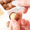 New Arrival Macadamia Nuts in Shell Bagged Fitness Large Particle Creamy Nuts Dried Fruits Roasted Seeds and Nuts Snacks Wholesale