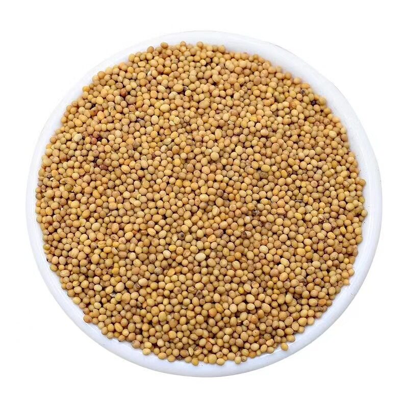 Wholesale pure mustard powder 500g salad ingredients mustard seed powder origin supply condiment factory ground mustard noodles