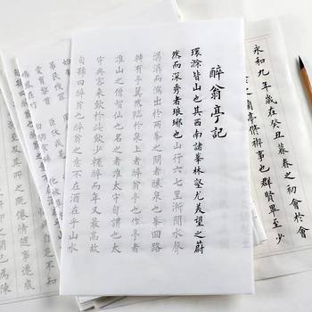 Hairpin Flower Small Script Brush Copybook Beginners Beginner's Introduction to Copying and Practicing Characters