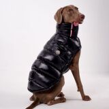 PAW DREAM горячая распродажа одежды для домашних животных, хлопчатобумажной одежды для собак, зимней ветрозащитной и теплой хлопчатобумажной одежды для собак плюс толстый бархатный пух