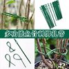 50 Gardening Binding Threads, Shaped Plastic-Coated Binding Threads, Climbing Vines, Seedlings, Vegetable Fishbone Binding Threads, Binding Threads