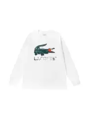 Casual Autumn Crocodile Original HD Thin Long Sleeve Hoodie for Men and Women, Pure Cotton Round Neck Hoodie, Solid Color Baita