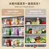 Food-Grade Refrigerator Storage Box, Crisper Box, Kitchen Vegetable and Fruit Special Organizing Plastic Egg Box with Handle