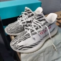 White zebra