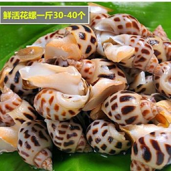 Live Frozen Flower Snail, Frozen Large Conch Shell, Fragrant Snail, Aquatic Seafood, Fresh Flower Snail, Small Conch, Factory Wholesale