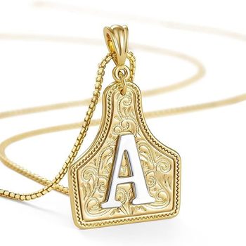 Cross-Border Popular Light Luxury Western Cowboy 26-Letter Necklace Copper Plated with 14K Gold High-End Embossed Sweater Chain