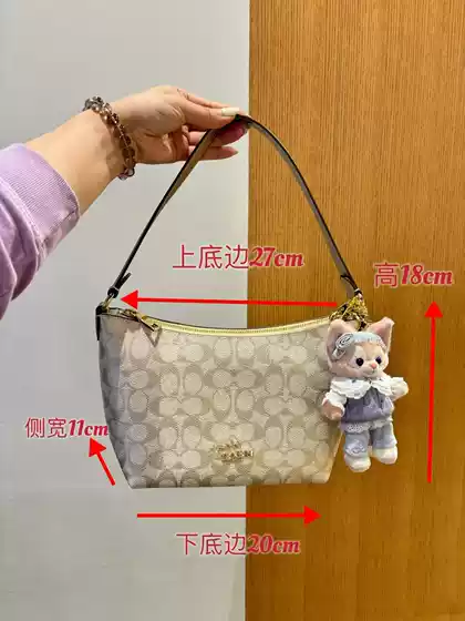 Cocoa 2024 New Fiona zip Underarm Bag Portable Shoulder Crossbody Commuter small size Tote Yuanbao Women's Bag