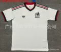 2526mexico away game