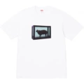 004 white