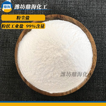 Spot Supply of 99% High Content Fine Powder Salt 100 Mesh 200 Mesh Dust Salt Surface Salt Powder Industrial Salt