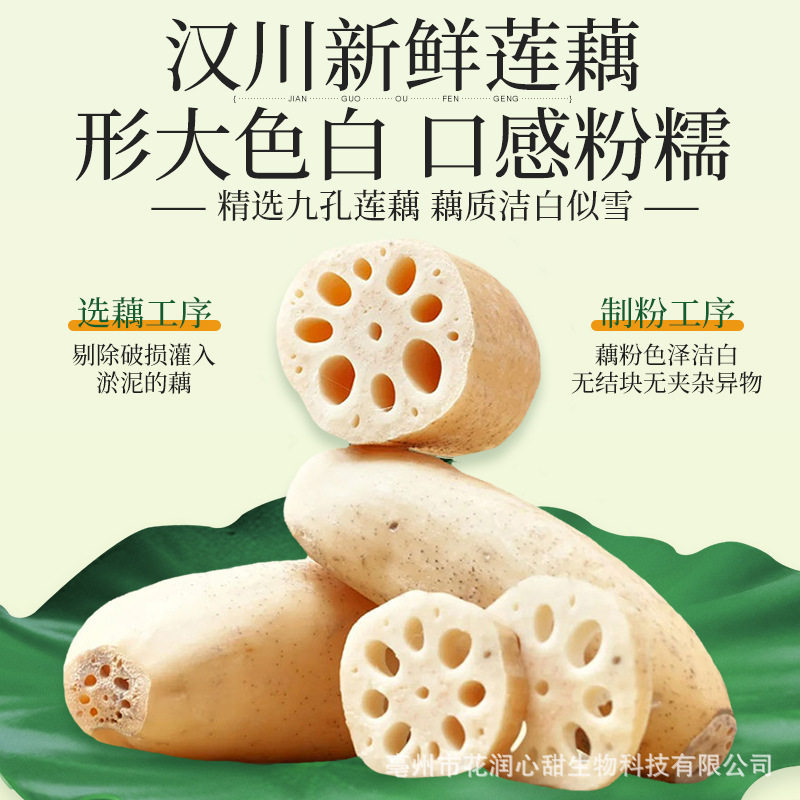 Nut and Tremella Lotus Root Powder Soup Breakfast Nutritional Meal Replacement Lotus Root Powder Soup One Piece Wholesale 500g Canned Pure Lotus Root Powder