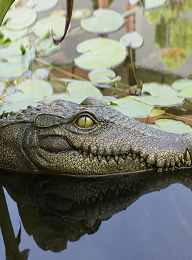 跨境仿真鳄鱼水上漂浮水池庭院池塘漂浮动物摆件鳄鱼可漂浮水面