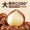 Macadamia Nut Cream Flavor New Arrival Nuts and Dried Fruits New Year Goods Bag Wholesale Price Casual Snacks Macadamia Nuts