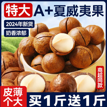 Macadamia Nut Cream Flavor 500g Dried Nuts Nut Snacks Bulk Whole Box New Year Gift Package Wholesale Flagship Store