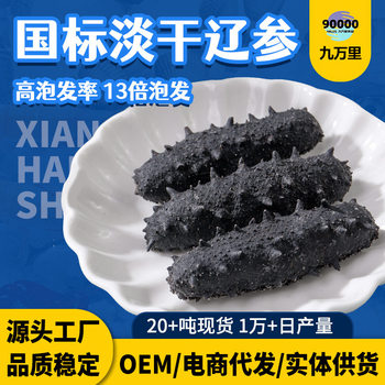 National Standard Sea Cucumber Wholesale 500g Lightly Dried Dried Goods Sea Cucumber Bulk Seafood Source Manufacturer