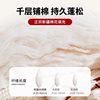 Xinjiang Pure Cotton Mattress Pad Cotton Batting Quilt Dormitory Student Single Foldable Thickened Pad Home Use All-Cotton