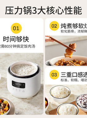 摩动陶瓷油4L电压力锅