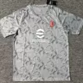 2526ac milan gray pm