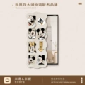 Type B [aluminum alloy black frame]]