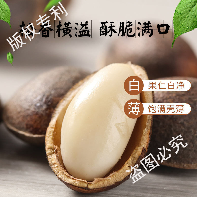 Directly from the Source, Fresh Raw Pine Nuts from Yunnan, Natural Flavor, Large Kernels, Snacks, Nuts, Original Flavor, New Stock