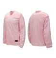 Pink 2040
