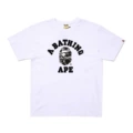 D168 white gray