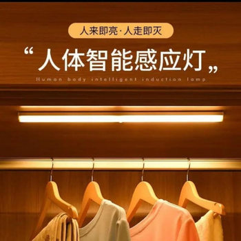 Led Human Body Sensor Wardrobe Light Cabinet Light Wine Cabinet Shoe Cabinet Light Magnetic Sensor Night Light Long USB Charging Light