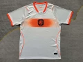 2627 netherlands away game