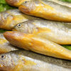Yellow Croaker Small Yellow Croaker Extra Large Fresh Sea-Caught Fresh Seafood Wholesale Small Yellow Croaker Whole