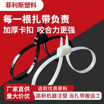 Double hole double buckle cable tie double nylon cable tie self-locking 13*500*700*900 cable tie