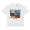 50169 white