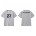 169 gray
