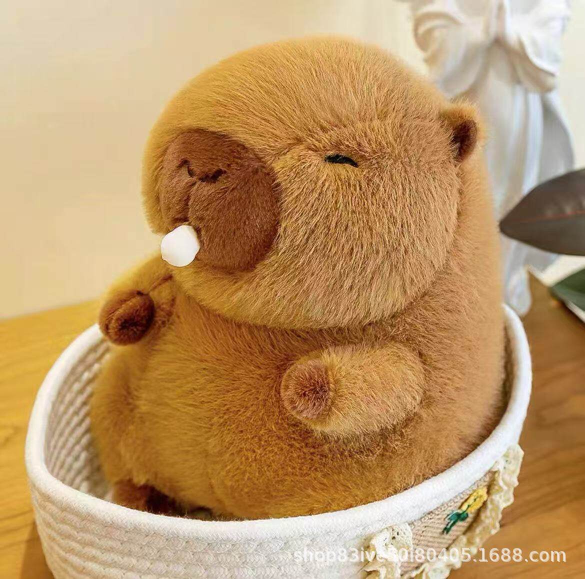 婚礼手抛娃娃8寸毛绒玩具公仔抓机娃娃定制logo