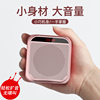 Foreign Trade S17 Small Bee Microphone Teachers Special Small Large Volume Selling Horn Stall Promotion Portable