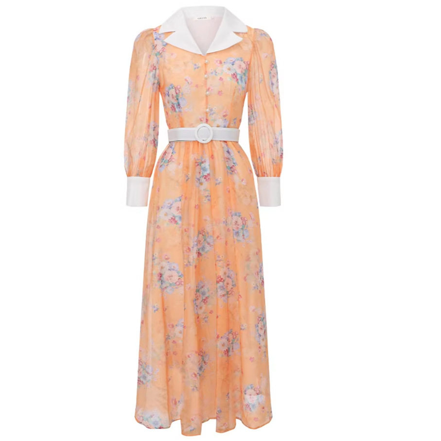 French Romantic Rose Print Lantern Sleeve Dress Elegant Waist Tie Design Flared Hem Perfect for Spring and Autumn