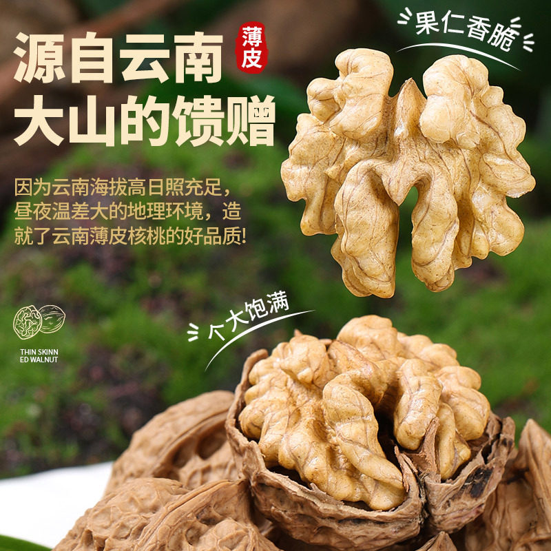 Wholesale Price of Thin-Skinned Walnuts from Yunnan, Raw Thin-Skinned Walnuts in Shells, Original Flavor, Bulk Wholesale Nuts, Snacks, New Walnuts