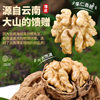 Wholesale Price of Thin-Skinned Walnuts from Yunnan, Raw Thin-Skinned Walnuts in Shells, Original Flavor, Bulk Wholesale Nuts, Snacks, New Walnuts