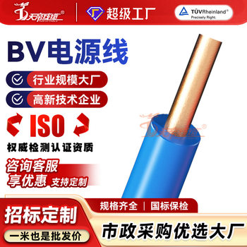 Processing and Customization of Oxygen-Free Copper Core National Standard Bv1.0 1.5 2.5 4 6 10 Square Wire Single-Core Copper Wire