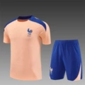France 1