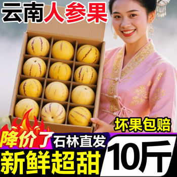 Yunnan Stone Forest Ginseng Fruit 5kg Seasonal Fresh Fruit Freshly Picked from the Tree in Season