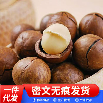 [New Arrivals This Year] Macadamia Nuts, New Milk-Flavored Original Nuts, Roasted Seeds and Nuts, Internet Celebrity Casual Dried Fruit Snacks