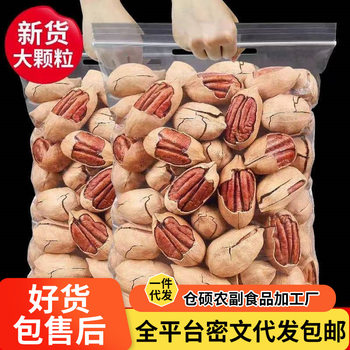 Pecan Nuts with Shells, Creamy Flavor 500g, Easy-To-Peel Dried Fruit Snacks, New Year's Gift Package