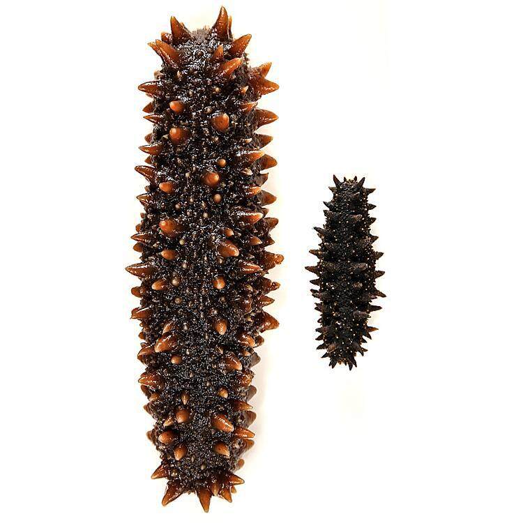 Russian Pure Light-Dried Deep-Sea Sea Cucumber, All Specifications, Factory Direct Supply, Fully Dried, 15 Times Expansion, Small Wholesale Seafood
